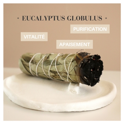 Natura Square Eucalyptus Fagot de Fumigation