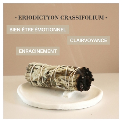 Natura Square Yerba Santa Herbe Sacrée Fagot de Fumigation