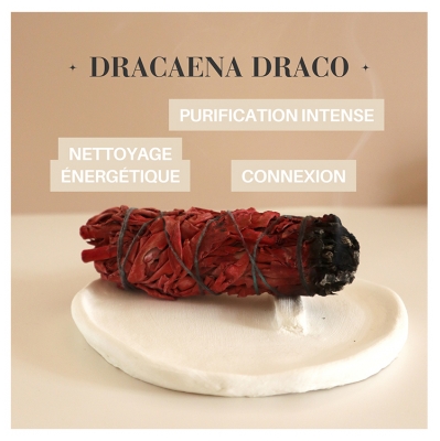 Natura Square Sang du Dragon et Sauge Blanche Apiana Fagot de Fumigation