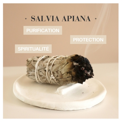 Natura Square Sauge Blanche Apiana Fagot de Fumigation