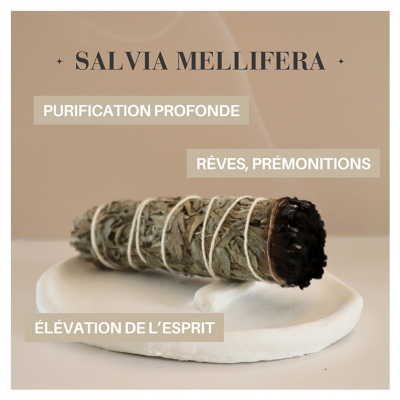 Natura Square Sauge Noire Fagot de Fumigation