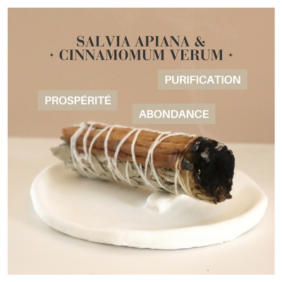 Natura Square Cannelle & Sauge Blanche Apiana Fagot de Fumigation