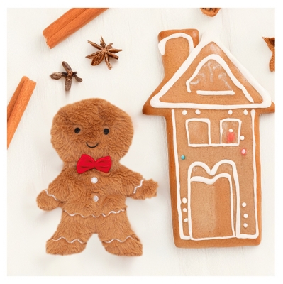 Plic Care Peluche Chaud/Froid Pain d'Épice