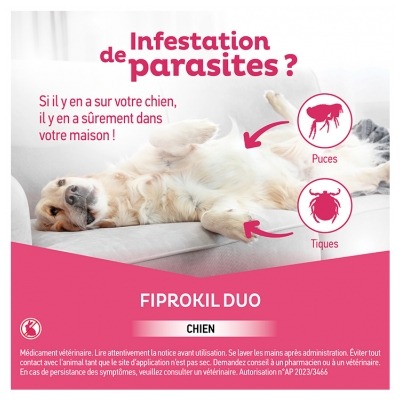 Clément Thékan Fiprokil Duo 402 mg/120 mg Chien 4 Pipettes