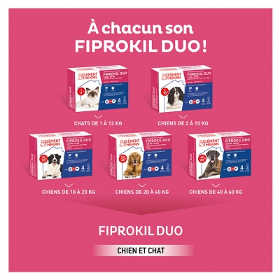 Clément Thékan Fiprokil Duo 402 mg/120 mg Chien 4 Pipettes