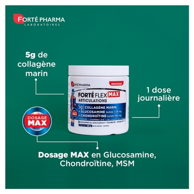 Forté Pharma Forté Flex Max Articulations 260 g