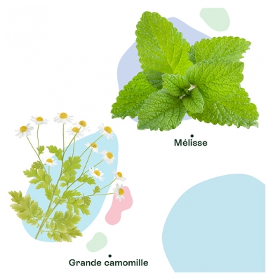 Naturactive Maux de Tête Flash Bio 14 Gélules