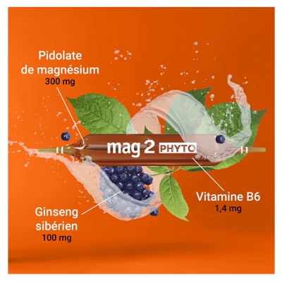 Mag 2 Phyto Énergie 30 Ampoules
