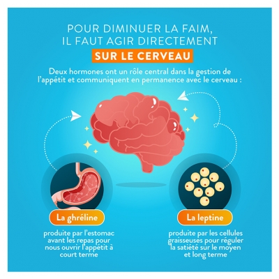 Nutri&Co Coupe-Faim 60 Gélules