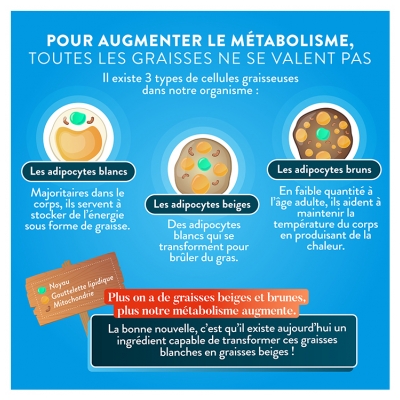 Nutri&Co Brûle-Graisse 60 Gélules