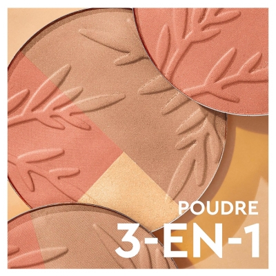 La Provençale Bio La Poudre d'Éclat L'Instant Doré Bio 8 g