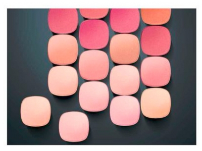 L'Oréal Paris Accord Parfait Le Blush 5 g - Colour: 165 Rose Bonne Mine