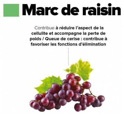 Aragan Synactifs CelluActifs 60 Gélules