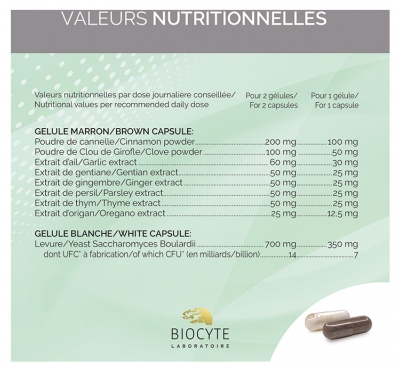Biocyte Longevity Gastro Fluryl 30 Gélules