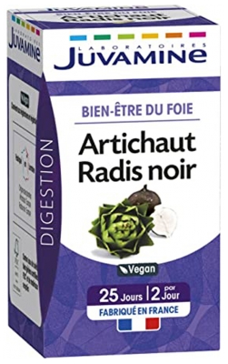 Juvamine Artichoke Black Radish 50 Kapsułek Juvamine Artichoke Black Radish 50 Kapsułek