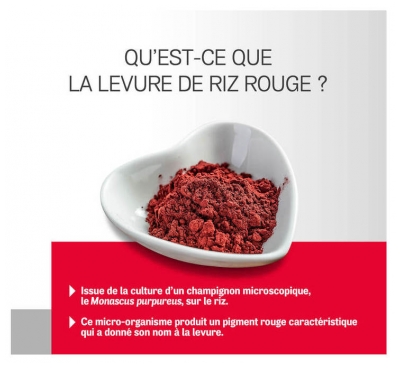 Arterin Levure de Riz Rouge 90 Comprimés