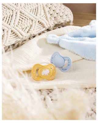 Luc et Léa Nature 2 Anatomical Soothers Extra-Thin Nipples 6-18 Months