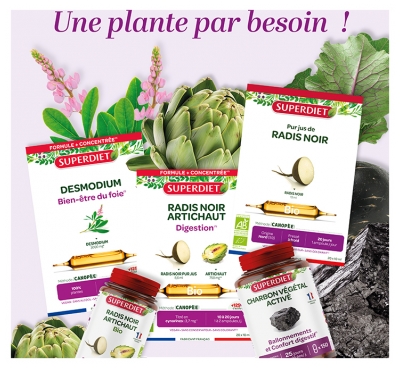 Superdiet Aubier de Tilleul Bien-Être Digestif Bio 20 Ampoules