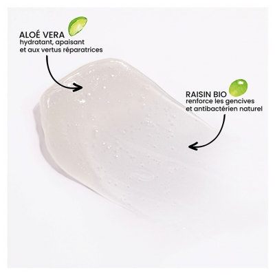 Pulpe de Vie Dentifrice Protection Goût Menthe Bio 75 ml