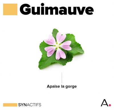 Aragan Synactifs KidActifs Sirop Nez-Gorge 125 ml