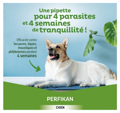 Clément Thékan Perfikan 134 mg/1200 mg Chiens Moyens 4 Pipettes