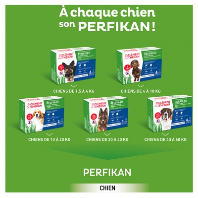 Clément Thékan Perfikan 134 mg/1200 mg Chiens Moyens 4 Pipettes