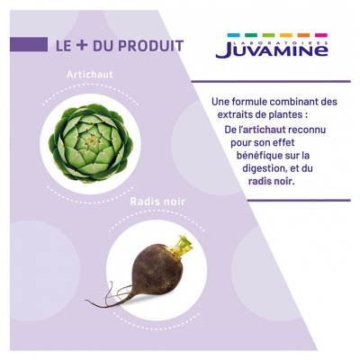 Juvamine Artichaut Radis Noir 50 Gélules