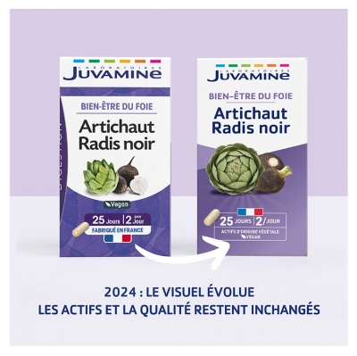 Juvamine Artichaut Radis Noir 50 Gélules