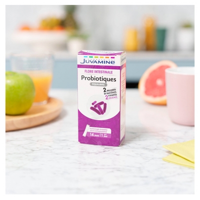 Juvamine Flore Intestinale Probiotiques 14 Sticks