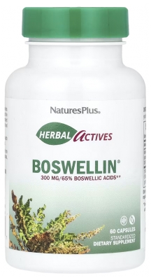 Natures Plus Herbal Actives Boswellin 300 mg 60 Kapsułek Natures Plus Herbal Actives Boswellin 300 mg 60 Kapsułek