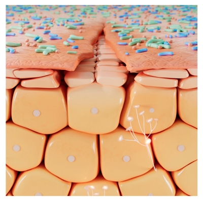 Bioderma Cicabio Cream+ 40ml