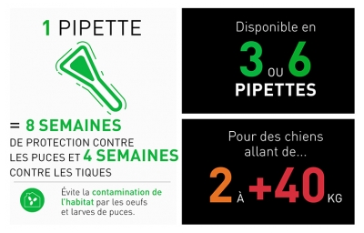 Frontline Combo Chien XL (+ de 40 kg) 6 Pipettes