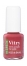 Damask Rose Damask Rose