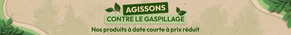 anti gaspi