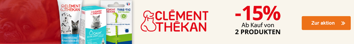 Angebot Clément Thékan