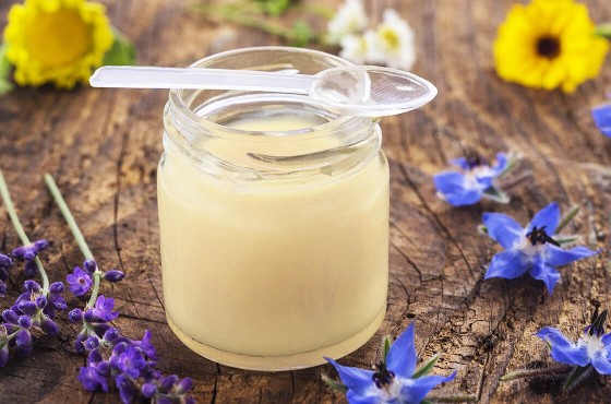 All you need to know about royal jelly’s natural goodness