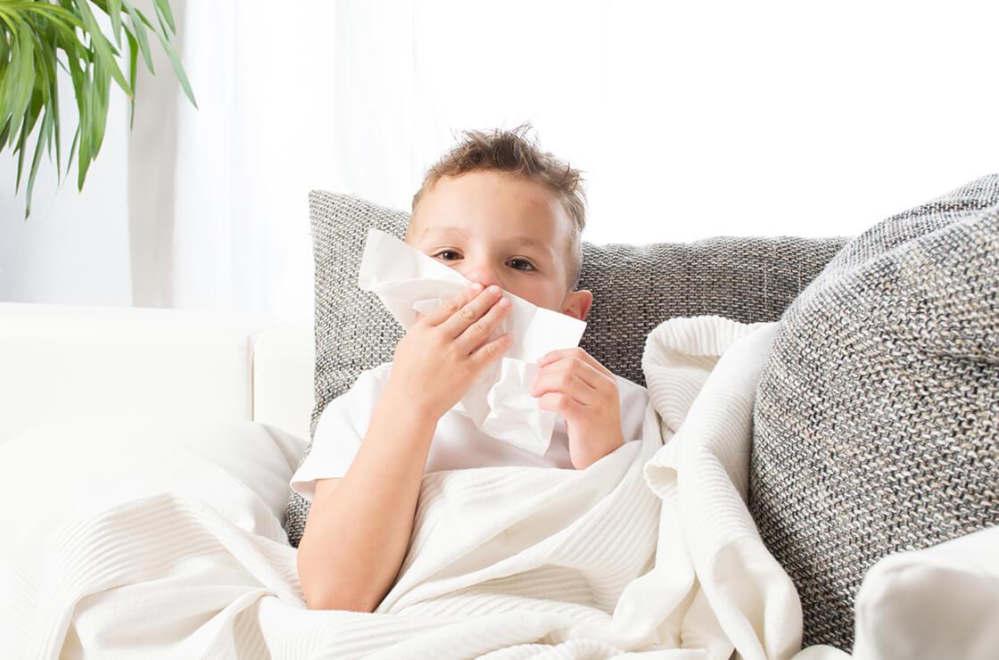 Allergies aux acariens : comment lutter et prévenir ?