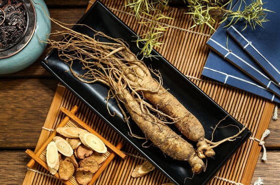 Ginseng: its virtues on your body