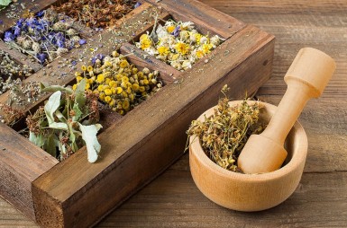 Herbalism: the benefits of plants for our body