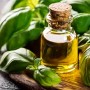 Huile Essentielle de Basilic : Guide Complet des Vertus et Applications Thérapeutiques
