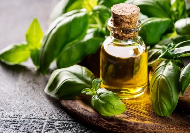 Huile Essentielle de Basilic : Guide Complet des Vertus et Applications Thérapeutiques