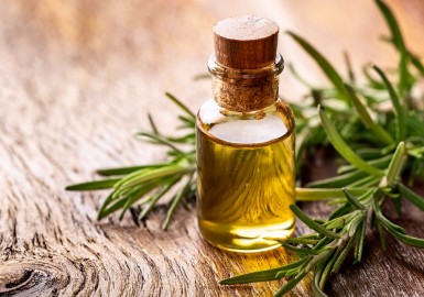 Huile Essentielle de Romarin : Propriétés, Bienfaits et Utilisations pour le Corps et l'Esprit