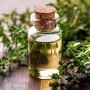 Huile Essentielle de Thym : Propriétés, Bienfaits et Utilisations Thérapeutiques