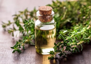 Huile Essentielle de Thym : Propriétés, Bienfaits et Utilisations Thérapeutiques