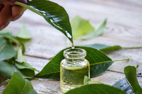 Huiles végétales bio : le guide complet pour une peau naturellement éclatante