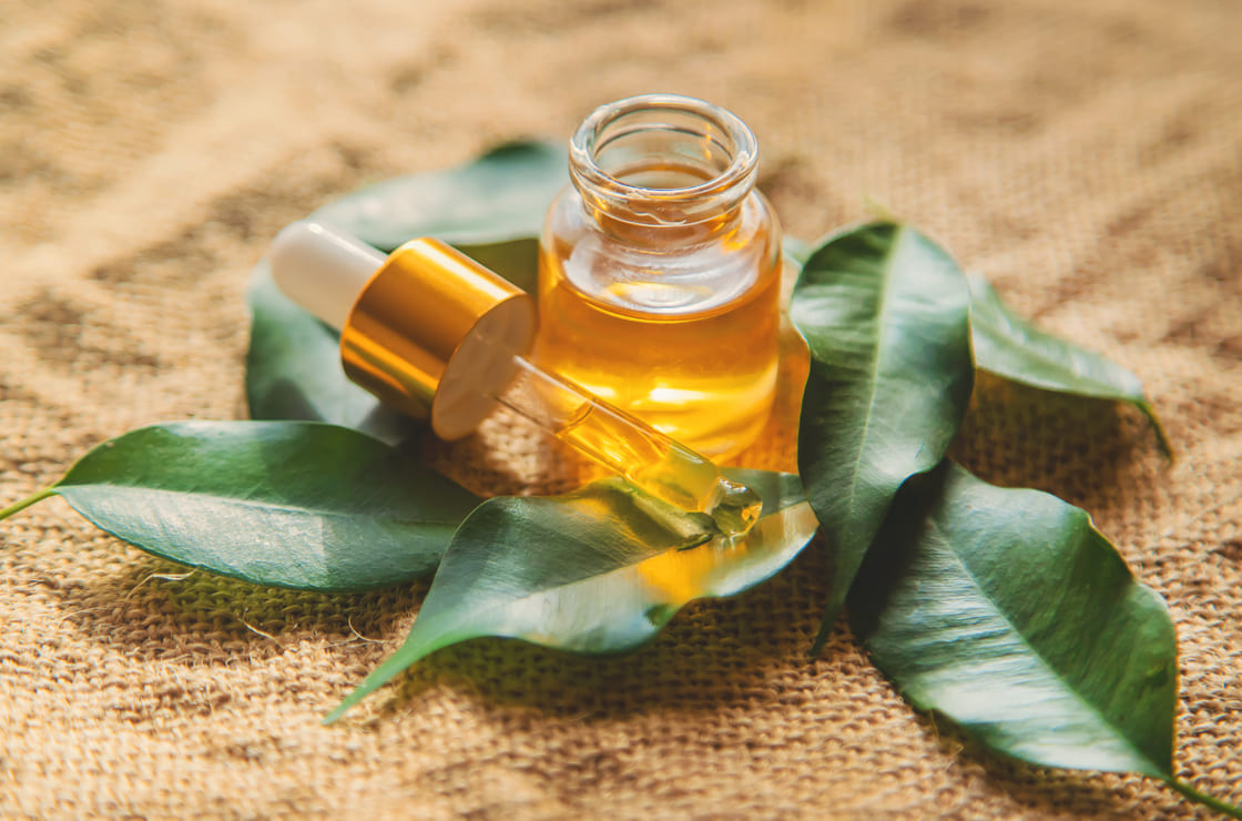 Utiliser l'huile essentielle de Ravintsara contre le rhume
