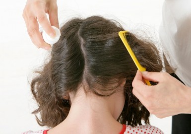Peigne anti poux : guide complet pour choisir et utiliser l'arme anti-parasites