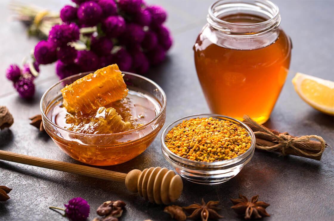 Propolis: the key ingredient for a healthy life - Noticias Ambientales