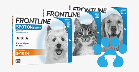 Frontline Alle Produkte Gunstig Kaufen Cocooncenter