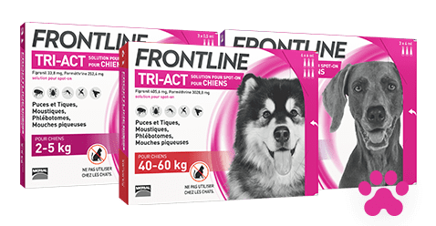 Frontline Buy Your Products At Low Prices Cocooncenter